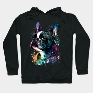 Rainbow Boston Terrier Watercolor Art Hoodie